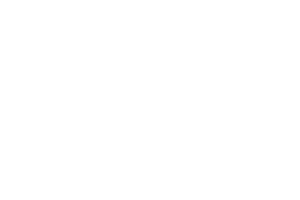 INMOTION